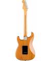 FENDER - AMERICAN PROFESSIONAL II STRATOCASTER HSS MAPLE FINGERBOARD ROASTED PINE