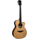 LAG - THV30ACE TRAMONTANE HYVIBE 30 AUDITORIUM CUTAWAY