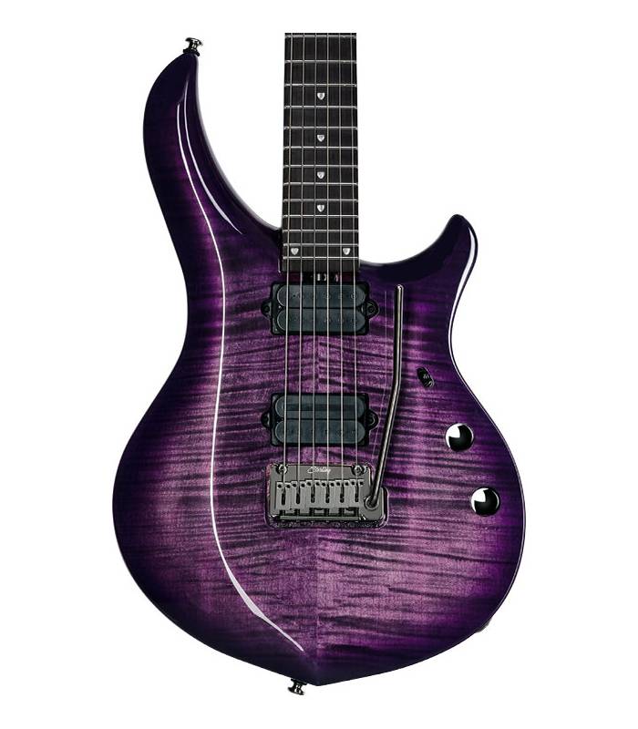 Guitare électrique métallique violet, corps et manche, toutes les couleurs  personnalisées, livraison gratuite, offre spéciale, nouvelle