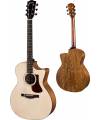 EASTMAN AC222CE