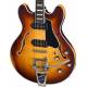 EASTMAN T64V-GB GOLDBURST