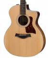 TAYLOR - 214CE-R - 214 CE ROSEWOOD/SPRUCE