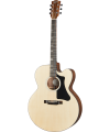 GIBSON G-200 EC GENERATION COLLECTION
