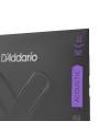 D'ADDARIO  - XTAPB1152