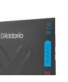 D'ADDARIO  - XTABR1253