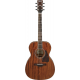 IBANEZ - AC340 - OPEN PORE NATURAL