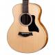 TAYLOR - GS MINI-E AFRICAN ZIRICOTE LTD