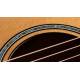 TAYLOR - 612CE 12 FRET