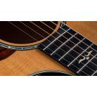 TAYLOR - 612CE 12 FRET