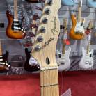 PARTCASTER - TELECASTER ASH MN