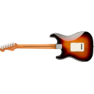 FENDER - LIMITED EDITION PLAYER STRATOCASTER WITH ROASTED MAPLE NECK