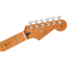 FENDER - LIMITED EDITION PLAYER STRATOCASTER WITH ROASTED MAPLE NECK