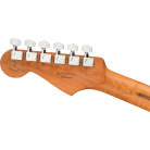FENDER - LIMITED EDITION PLAYER STRATOCASTER WITH ROASTED MAPLE NECK