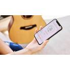TAYLOR - 1318 - SENSE BATTERY BOX + MOB APP