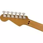 EVH - EVH FRANKENSTEIN RELIC SERIES