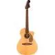 FENDER - NEWPORTER PLAYER