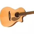 FENDER - NEWPORTER PLAYER