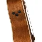 FENDER - NEWPORTER SPECIAL