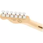 FENDER - 2019 LIMITED EDITION PLAYER TELECASTER