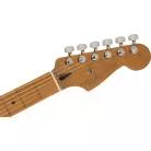 FENDER - LIMITED EDITION PLAYER PLUS STRATOCASTER HSS