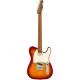 FENDER - LIMITED EDITION PLAYER TELECASTER, ROASTED MAPLE FINGERBOARD, SIENNA SUNBURST