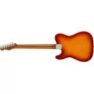 FENDER - LIMITED EDITION PLAYER TELECASTER, ROASTED MAPLE FINGERBOARD, SIENNA SUNBURST