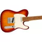 FENDER - LIMITED EDITION PLAYER TELECASTER, ROASTED MAPLE FINGERBOARD, SIENNA SUNBURST