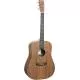 MARTIN - DX SPECIAL DREADNOUGHT SUMMER SIZZLER SPECIAL