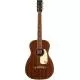 GRETSCH - JIM DANDY PARLOR FRONTIER SATIN