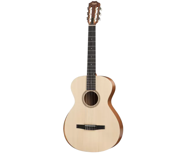 TAYLOR - ACADEMY 12 NYLON