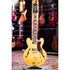 EPIPHONE - E212TN SHERATON 50TH ANNIV AVEC ETUI