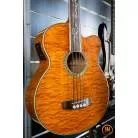 MICHAEL KELLY- DRAGONFLY 4 FLAM FRETLESS + HOUSSE