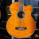 MICHAEL KELLY- DRAGONFLY 4 FLAM FRETLESS + HOUSSE