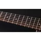TAYLOR - AD14CE-SB LTD 50TH ANNIVERSARY