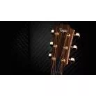 TAYLOR - AD14CE-SB LTD 50TH ANNIVERSARY