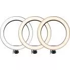 MACKIE - RING LIGHT 10? 3 COULEURS AVEC STAND ET TELECOMMANDE