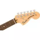 FENDER - LIMITED EDITION AMERICAN PERFORMER TIMBER STRATOCASTER®