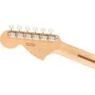 FENDER - LIMITED EDITION AMERICAN PERFORMER TIMBER STRATOCASTER®