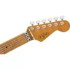 EVH - EVH® FRANKENSTEIN RELIC® SERIES