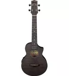 IBANEZ - UEW12EBIF BLACK ICE FLAT