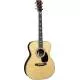 MARTIN - CUSTOM SHOP OM SITKA/WILD GRAIN EIR