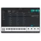 ARTURIA - INSTRUMENT LOGICIEL PIGMENTS 5 VERSION TELECHARGEABLE