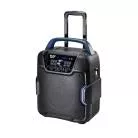 ALTO PROFESSIONAL - SONO PORTABLE 8" 200W SUR BATTERIE, BLUETOOTH - FX