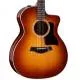 TAYLOR - 214CE PLUS - 214 CE PLUS SPECIAL EDITION