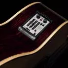 FISHMAN - AURA PRO FORMAT LARGE