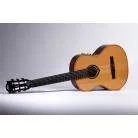 LAG - HYVIBE 15 CLASSIC ELECTRO GAUCHER