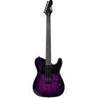 LTD - LTD TE200DX PURPLE BURST