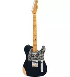 FENDER - BRAD PAISLEY ROAD WORN® TELECASTER®