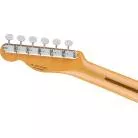 FENDER - BRAD PAISLEY ROAD WORN® TELECASTER®