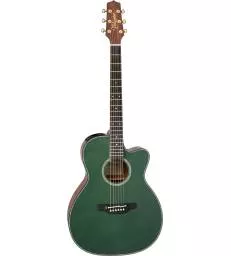 TAKAMINE - LIMITED EDITION 2025 OM CUTAWAY ANTIQUE EVERGREEN